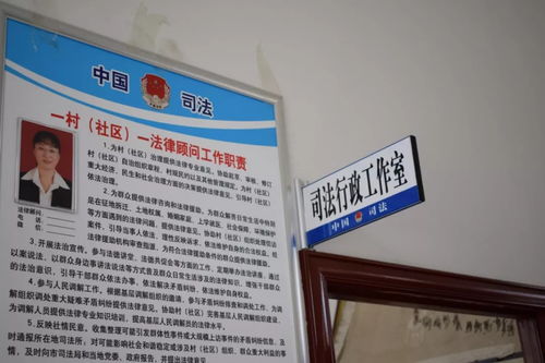 計算機科技賦能鄉村實業，煙臺萊州見證科技志愿服務新篇章